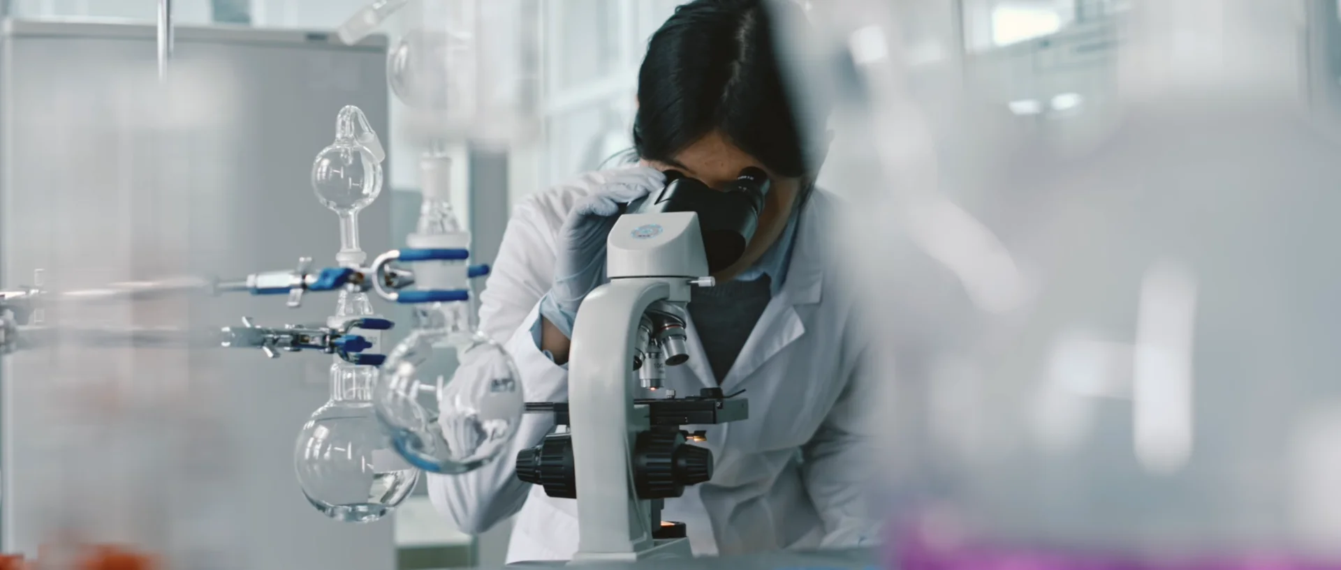 Laboratory work using a microscope